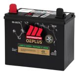 mudmaster battery
