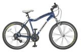 schwinn conversion mountain bike