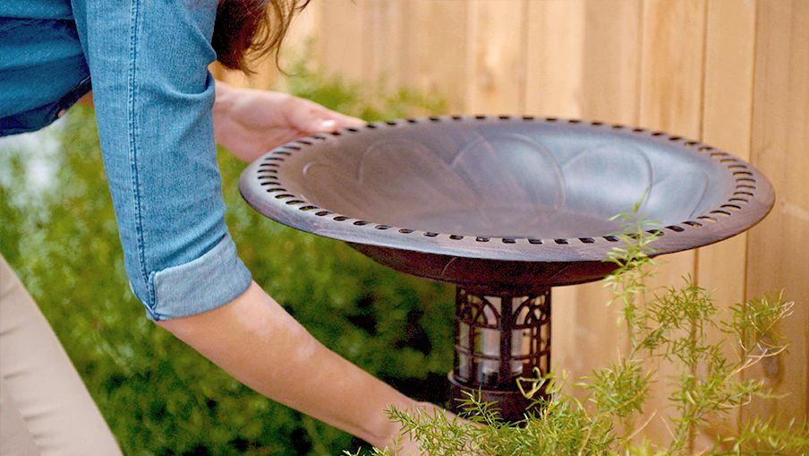 How to attract birds Canadian Tire