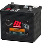 6 volt battery