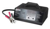 6 volt battery charger canadian tire