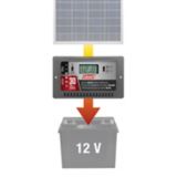 Régulateur de charge solaire Coleman de 30 A de 12 V | Colemannull