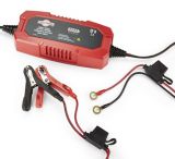 6 volt battery charger canadian tire