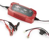 6 volt battery charger canadian tire