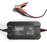 12 volt battery charger canadian tire