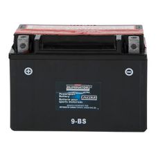 mudmaster battery