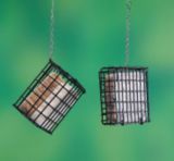 automatic pet feeder canadian tire