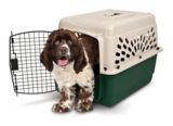 canadian tire dog house