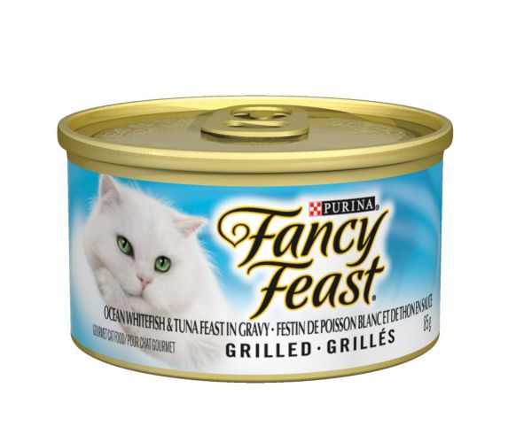 Food masha cat