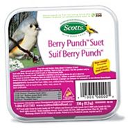 Ivory Vertical Wall Garden Canadian Tire