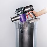 dyson dc61 animal