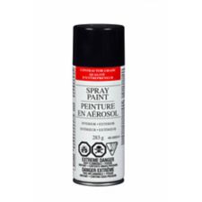 Value Brand Enamel Gloss Spray Paint 285 G Canadian Tire