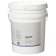 Premier Specialty Stain Blocking Ceiling Paint White 3 78 L