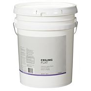 Premier Specialty Stain Blocking Ceiling Paint White 3 78 L