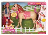 barbie doll horse riding lesson set