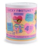 Boule de cristal scintillante Lucky Fortune, série 3, 9 accessoires surprise, 6 ans et plus | Wowweenull