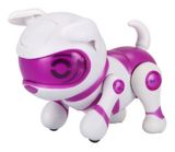 tekno newborn puppy