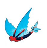 Planeurs X-Kites Flexwing, choix varié, 16 po | X-Kitesnull