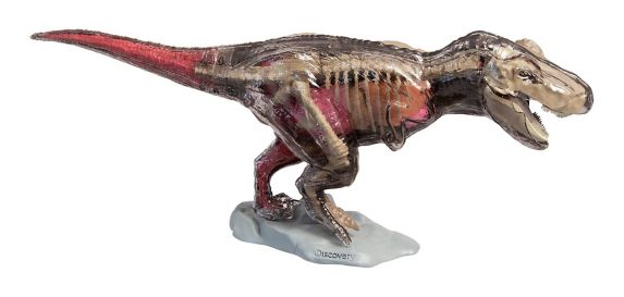 Discovery #Mindblown 4D Vision Great T-Rex Anatomy Kit, Ages 6+ Product image