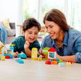 canadian tire duplo