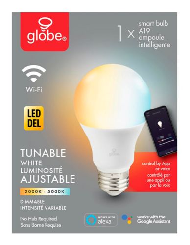 Ampoule intelligente à DEL Globe 60 W, ajustable, blanc Image de l’article