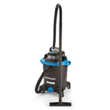 clean dog pee from bed