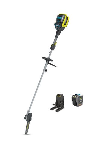 Yardworks 48V Brushless Pole Saw with 2Ah Battery, 10-in Product image