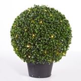 canadian tire yoga ball