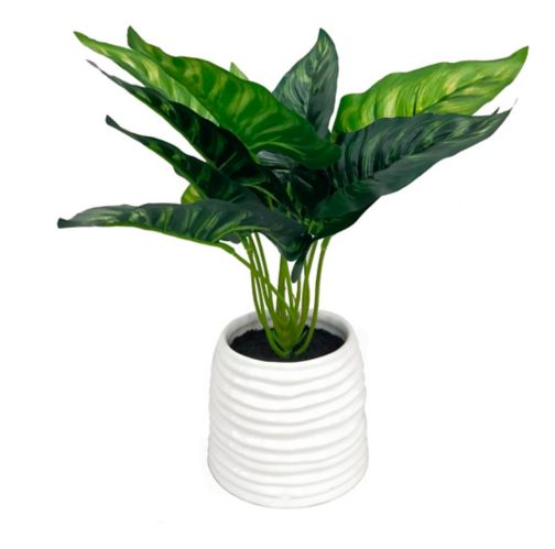 CANVAS Artificial Plant in Ceramic Pot, 11-in Product image