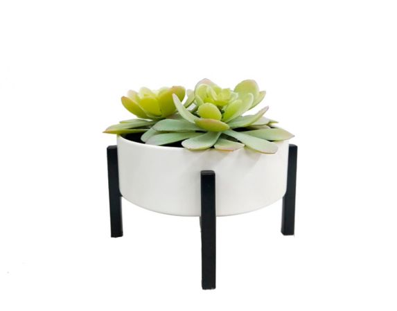 CANVAS Succulent in Metal Pot,  5-1/4-in Product image