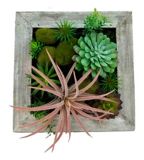 CANVAS Succulents in Wood Table Planter, 12-in x 12-in | CANVASnull