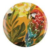 CANVAS Macaw Outdoor Dinner Plates Canadian Tire