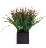 CANVAS Artificial Grass in Wooden Pot, 11.5-in | CANVASnull