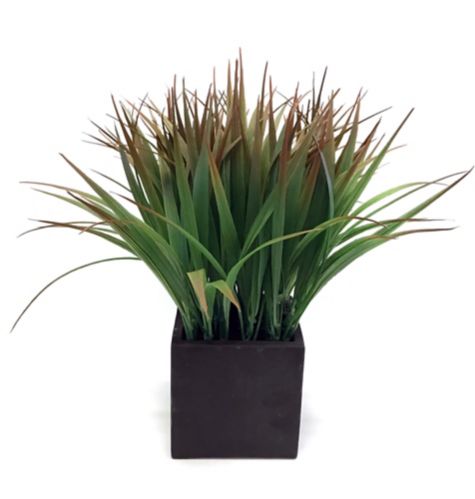 CANVAS Artificial Grass in Wooden Pot, 11.5-in Product image