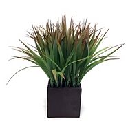 CANVAS Artificial Grass in Wooden Pot, 11.5-in