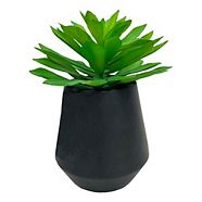 CANVAS Artificial Succulent in Ceramic Pot, 11.5-in