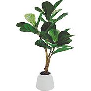 CANVAS Potted Artificial Fig Tree, 26-in