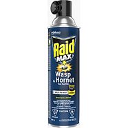 Raid Wasp Hornet Insect Killer Spray 400 G Canadian Tire