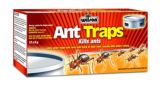 ant traps