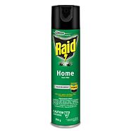 Raid Wasp Hornet Insect Killer Spray 400 G Canadian Tire