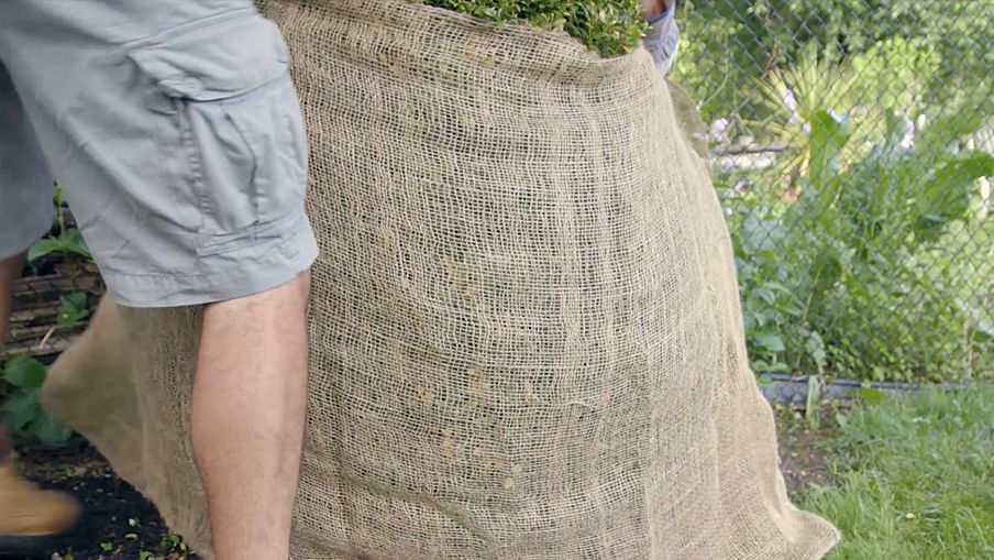 How to protect your shrubs for winter Canadian Tire