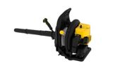 champion backpack leaf blower