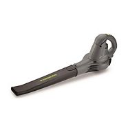 leaves vacuum canadian tire