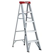 Scaffold ladder