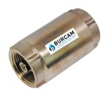 Brass Check Valve, 1in Canadian Tire