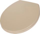 Delta Round Front Quick Release Toilet Seat, Bone | Deltanull
