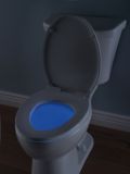 Delta Round Slow Close/Quick Release Nightlight Toilet Seat | Deltanull