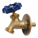 hose bibb with flange