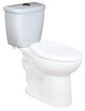 Toilette à chasse double Danze Aurora, 4 L et 6 L | Danzenull