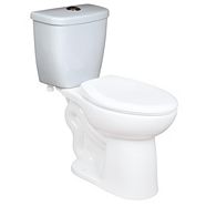 American Standard Ravenna3 Dual Flush Toilet Canadian Tire